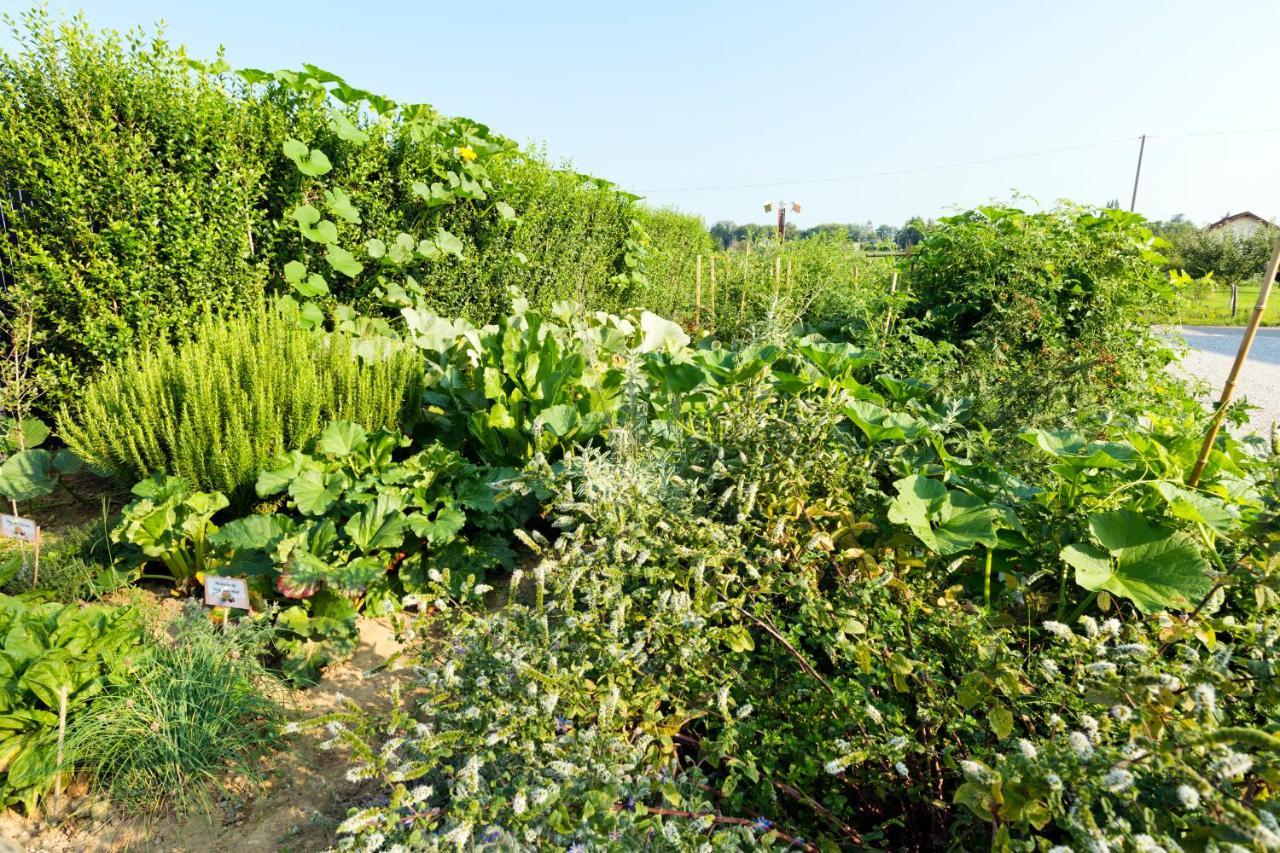 Courlans Hotel Auberge De Chavannes מראה חיצוני תמונה